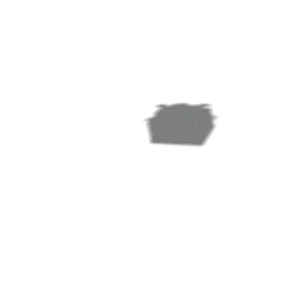 1.gif