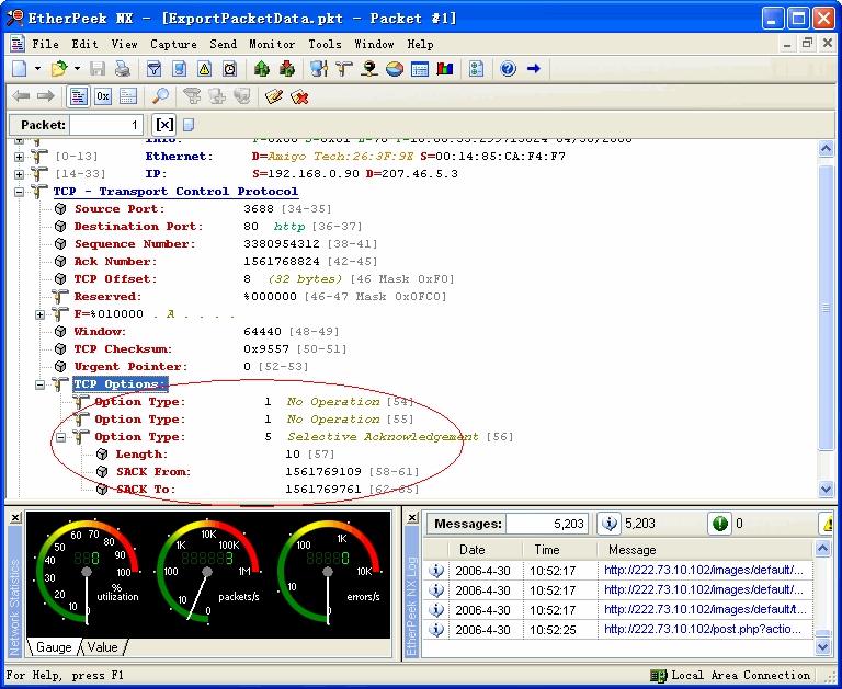 etherpeek-tcp-option.gif